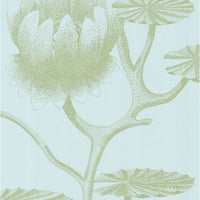 Cole & Son Lily Sage/Pale Blue Wallpaper 69/3112.CS.0