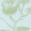 Cole & Son Lily Sage/Pale Blue Wallpaper 69/3112.CS.0