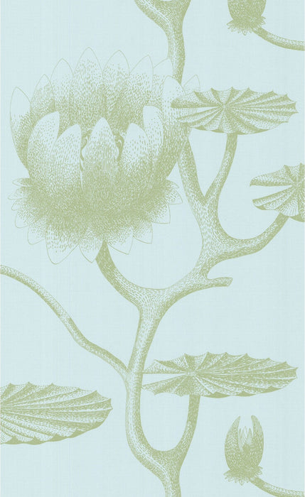 Cole & Son Lily Sage/Pale Blue Wallpaper 69/3112.CS.0