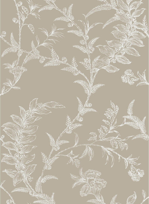 Cole & Son Ludlow Taupe Wallpaper 88/1001.CS.0