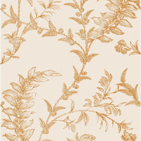 Cole & Son Ludlow Peach Wallpaper 88/1003.CS.0