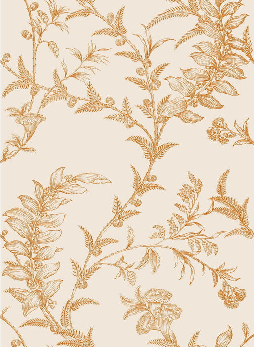 Cole & Son Ludlow Peach Wallpaper 88/1003.CS.0