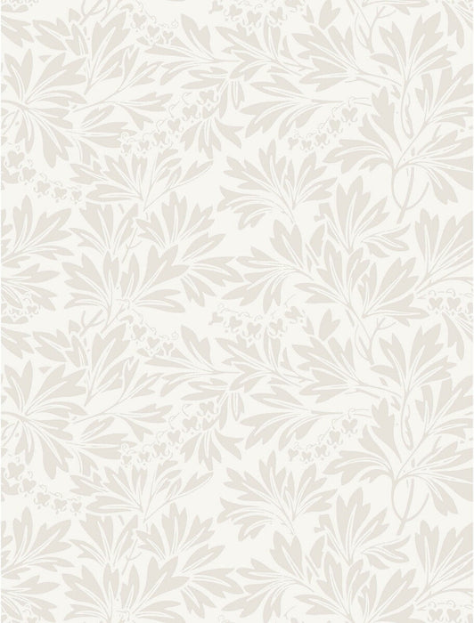 Cole & Son Dialytra Ecru Wallpaper 88/11045.CS.0