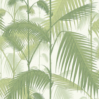 Cole & Son Palm Jungle Olive Gre/White Wallpaper 95/1001.CS.0