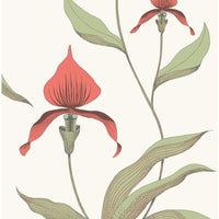 Cole & Son Orchid Red/White Wallpaper 95/10054.CS.0
