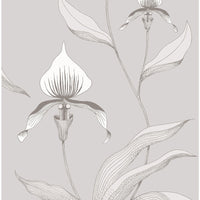 Cole & Son Orchid Grey/White Wallpaper 95/10055.CS.0