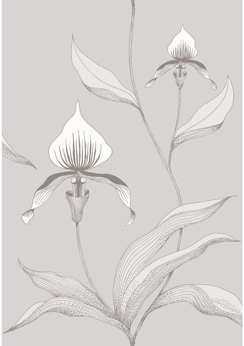 Cole & Son Orchid Grey/White Wallpaper 95/10055.CS.0
