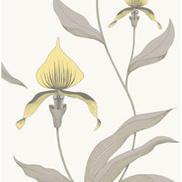 Cole & Son Orchid Yellow/White Wallpaper 95/10057.CS.0