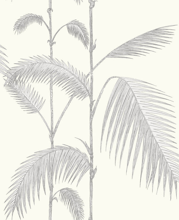 Cole & Son Palm Leaves Grey/White Wallpaper 95/1008.CS.0