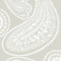 Cole & Son Rajapur White/Linen Wallpaper 95/2011.CS.0