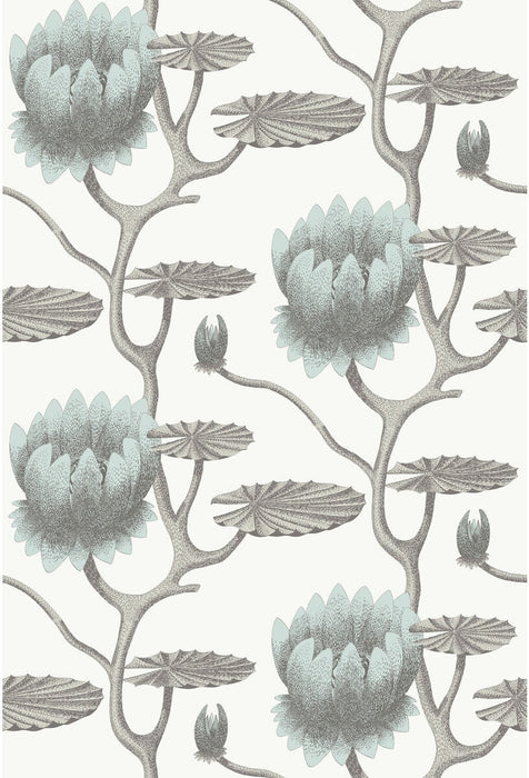 Cole & Son Summer Lily Aqua/White Wallpaper 95/4022.CS.0