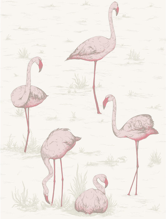Cole & Son Flamingos Pink/White Wallpaper 95/8045.CS.0