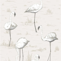 Cole & Son Flamingos Charcoal/Wht Wallpaper 95/8046.CS.0