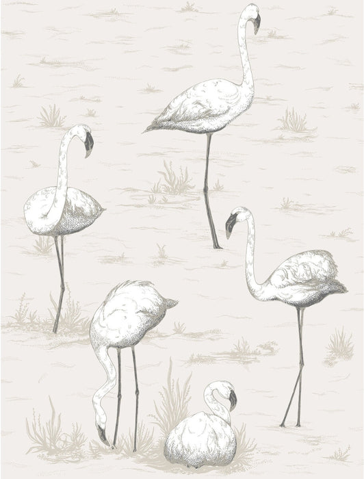 Cole & Son Flamingos Charcoal/Wht Wallpaper 95/8046.CS.0