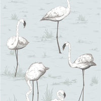 Cole & Son Flamingos Charcoal/Aqua Wallpaper 95/8047.CS.0