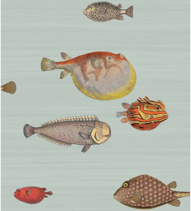 Cole & Son Acquario Print Room Blue Wallpaper 97/10030.CS.0