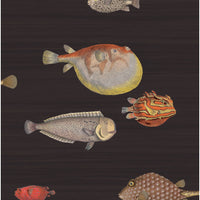 Cole & Son Acquario Black & Multi Wallpaper 97/10048.CS.0