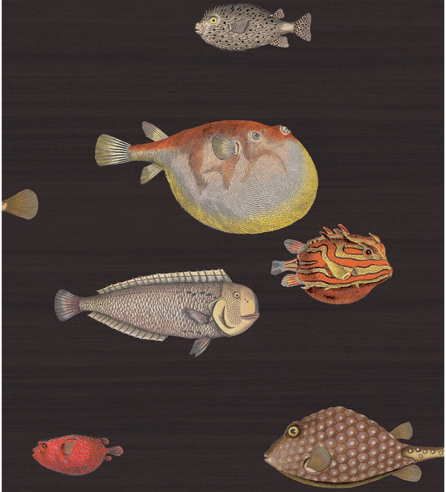 Cole & Son Acquario Black & Multi Wallpaper 97/10048.CS.0