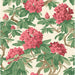 Cole & Son Bourlie Carmine Wallpaper 99/4019.CS.0