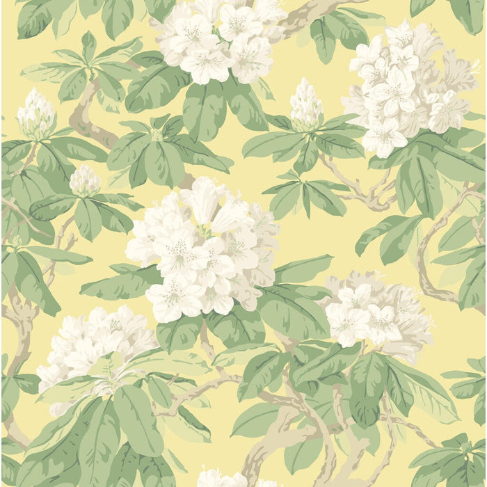 Cole & Son Bourlie Pale Lemon Wallpaper 99/4021.CS.0