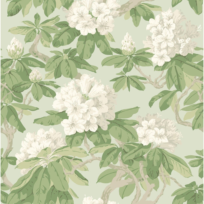 Cole & Son Bourlie Duck Egg Wallpaper 99/4022.CS.0
