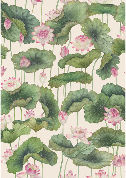 Cole & Son Lily Lotus Pink Wallpaper Sample 126/9031.CS.0