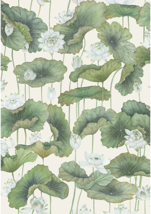 Cole & Son Lily Lotus White/Cream Wallpaper Sample 126/9034.CS.0