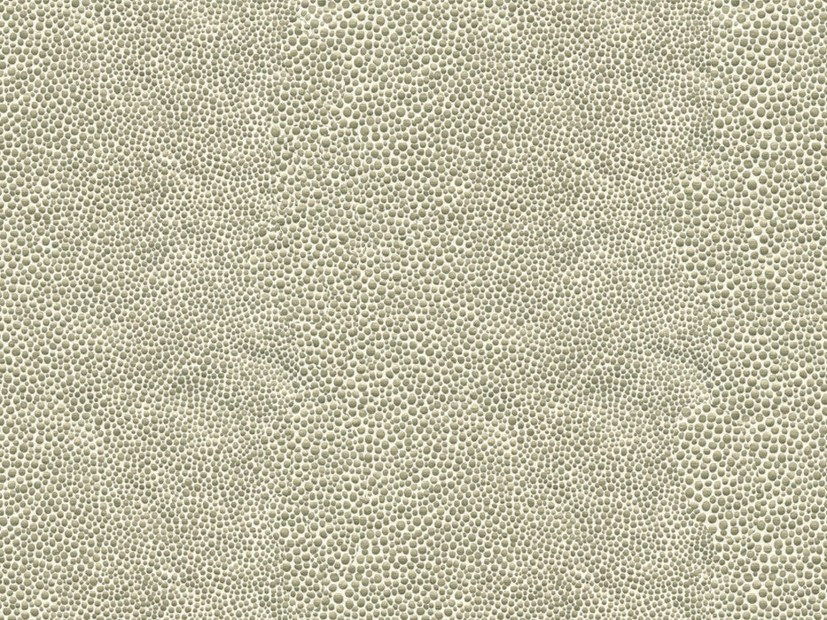 Kravet Couture Mirrored Image Silver Fabric MIRRORED.11.0