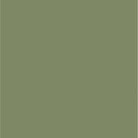 Cole & Son Colour Box Velvet Olv Grn Fabric F111/11042.CS.0