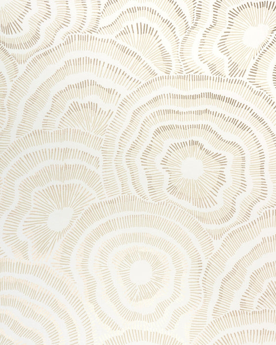 Kravet Couture Panache Wp Champagne Wallpaper W3823.4.0