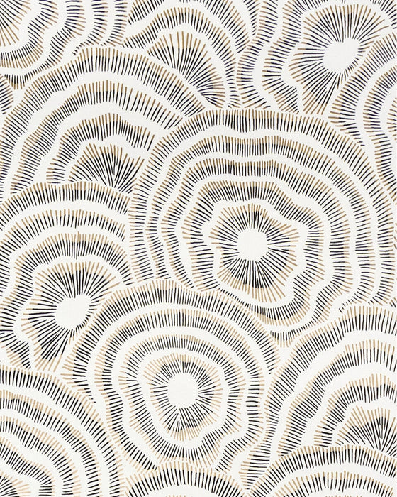 Kravet Couture Panache Wp Onyx Wallpaper W3823.84.0