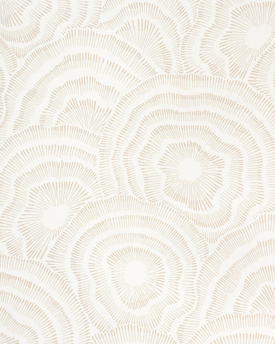 Kravet Couture Panache Wp Natural Wallpaper W3823.16.0