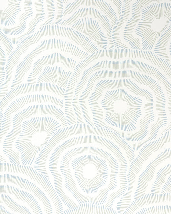 Kravet Couture Panache Wp Seafoam Wallpaper W3823.315.0