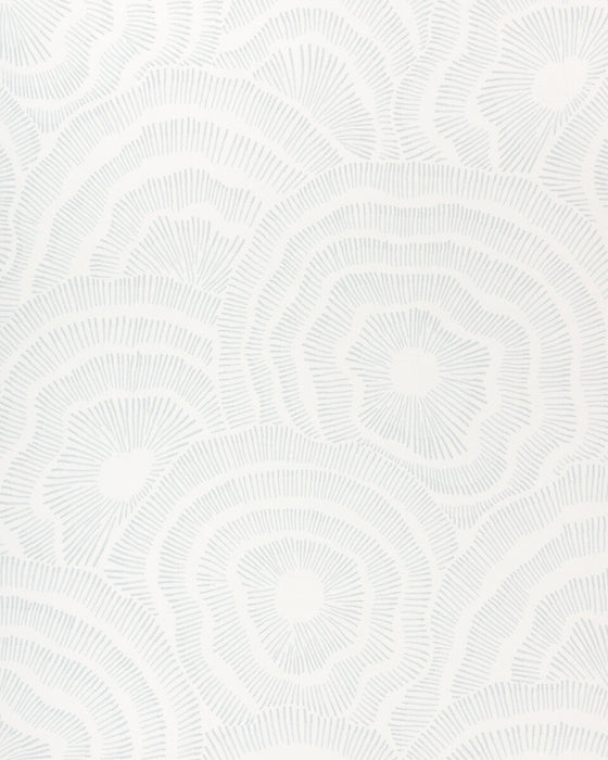 Kravet Couture Panache Wp Sky Wallpaper W3823.115.0