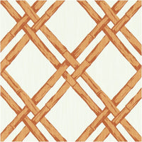 Clarke & Clarke Bhutan Spice Fabric F1287/05.CAC.0