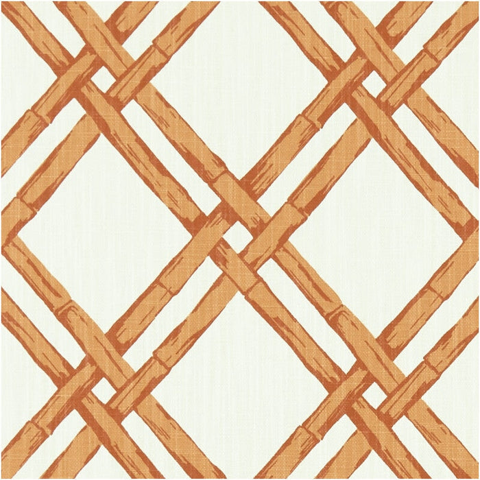 Clarke & Clarke Bhutan Spice Fabric F1287/05.CAC.0