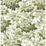 Gaston Y Daniela Vegacervera Wp Verde Wallpaper LCW1033.002.0