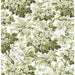 Gaston Y Daniela Vegacervera Wp Verde Wallpaper LCW1033.002.0