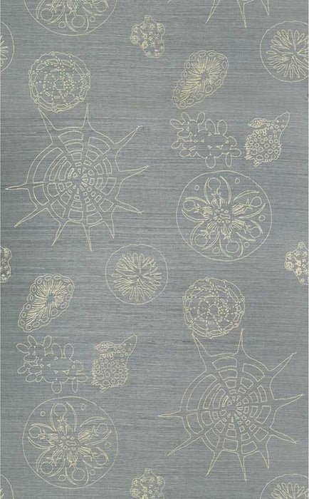 Kravet Couture Telescopic G Surf / Sand Wallpaper W3584.311.0