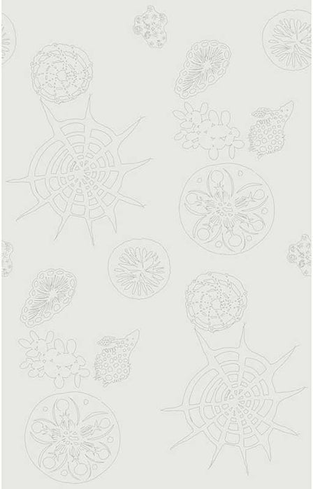 Kravet Couture Telescopic P Mercury Wallpaper W3585.1.0