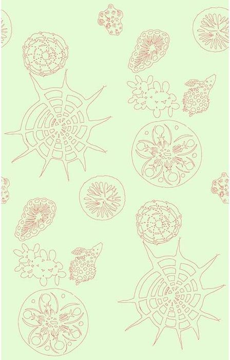 Kravet Couture Telescopic P Coral Sea Wallpaper W3585.319.0