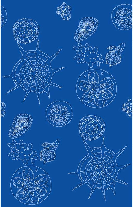 Kravet Couture Telescopic P Nautics Wallpaper W3585.5.0