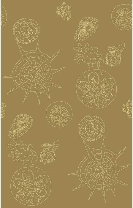 Kravet Couture Telescopic P Sanddollar Wallpaper W3585.616.0