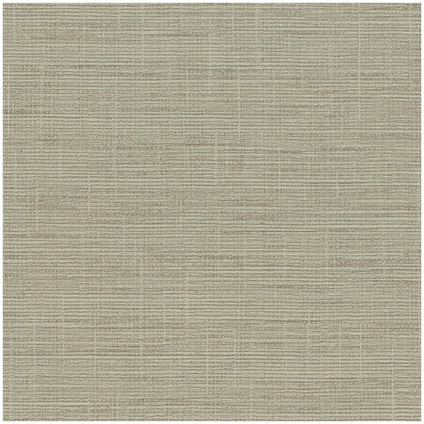 Winfield Thybony Patagonia Straw Wallpaper WHF1619.WT.0