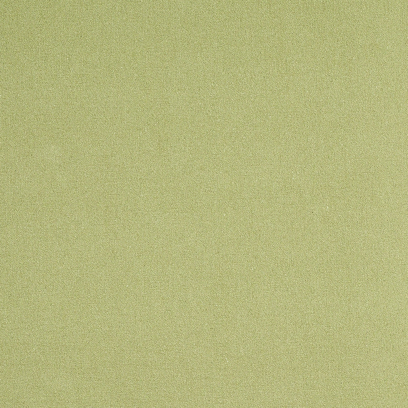 Schumacher Albert Performance Cotton Green Fabric 77810