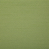 Pindler Rover Kiwi Fabric 7802