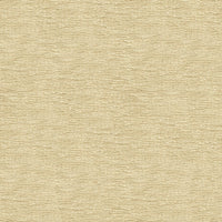 Kravet Smart 33831 1116 Fabric 33831.1116.0