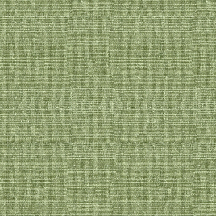 Kravet Smart 34191 3 Fabric 34191.3.0