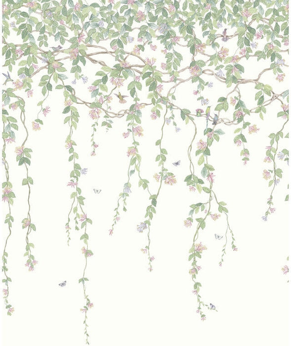 Cole & Son Hummingbirds Flora Blush Wallpaper 124/2008.CS.0