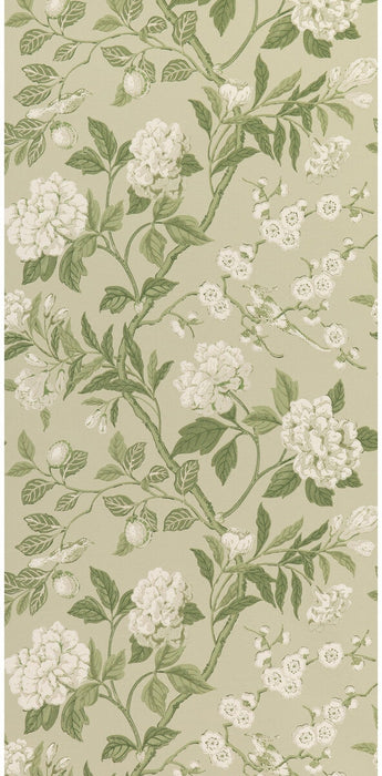 GP & J Baker Emperor'S Garden Soft Green Wallpaper BW45000.10.0